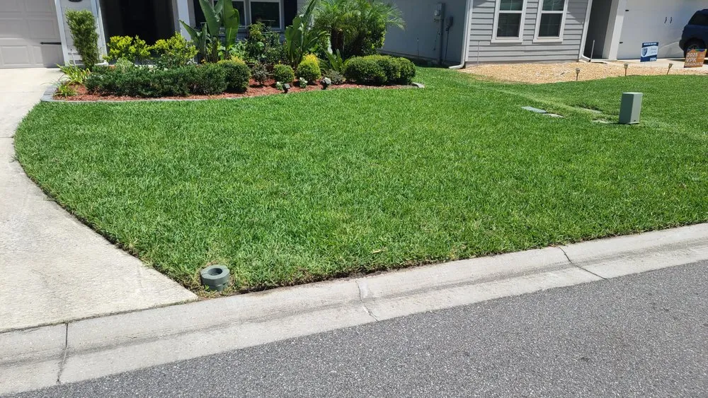 Professional landscaping services experts serving Saint Augustine, FL - Grassy Gator Lawn Care