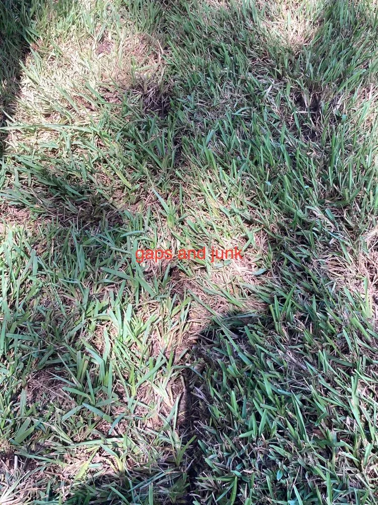 Trusted lawn mowing service in Saint Augustine, FL by Grassy Gator Lawn Care