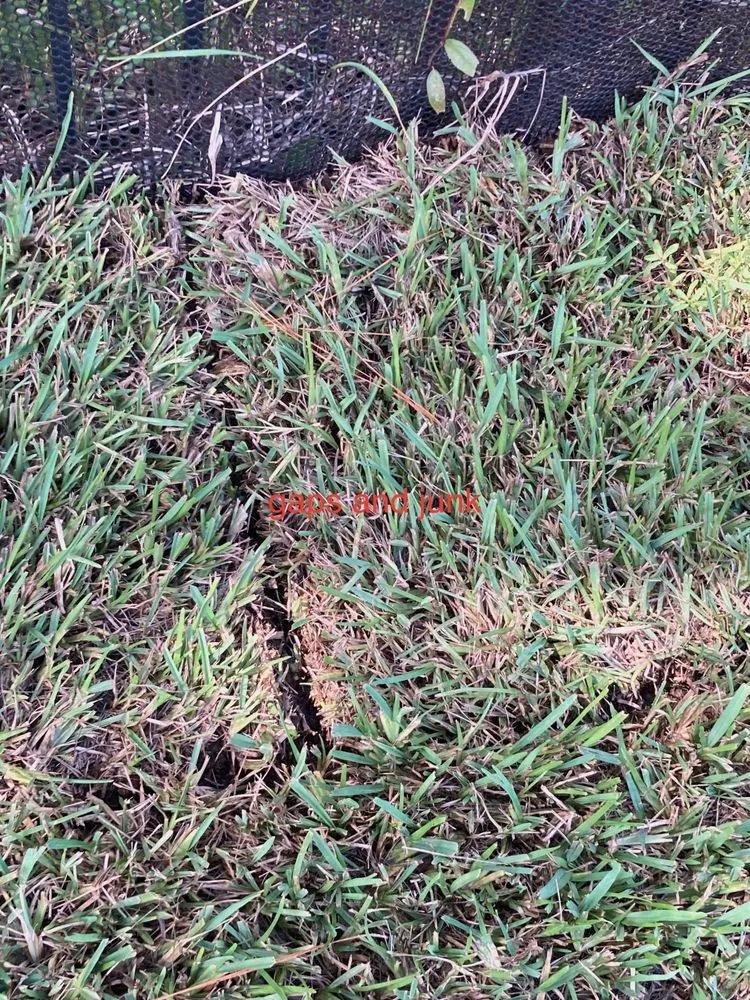 Trusted landscape installation in Saint Augustine, FL by Grassy Gator Lawn Care