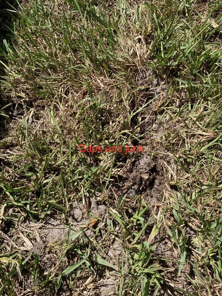 Trusted landscape design experts serving Saint Augustine, FL - Grassy Gator Lawn Care