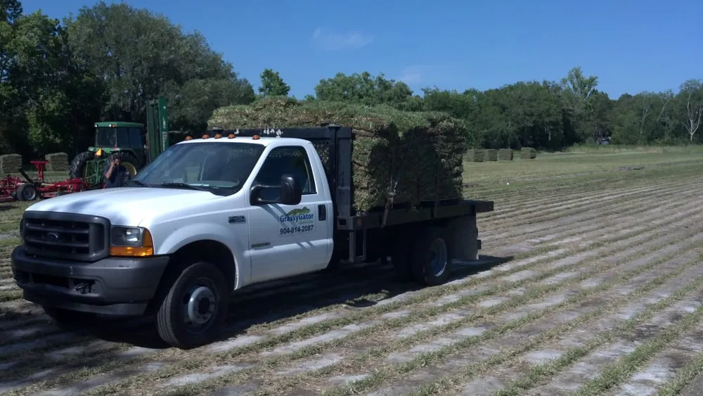 Trusted yard cleanup service in Saint Augustine, FL - Grassy Gator Lawn Care