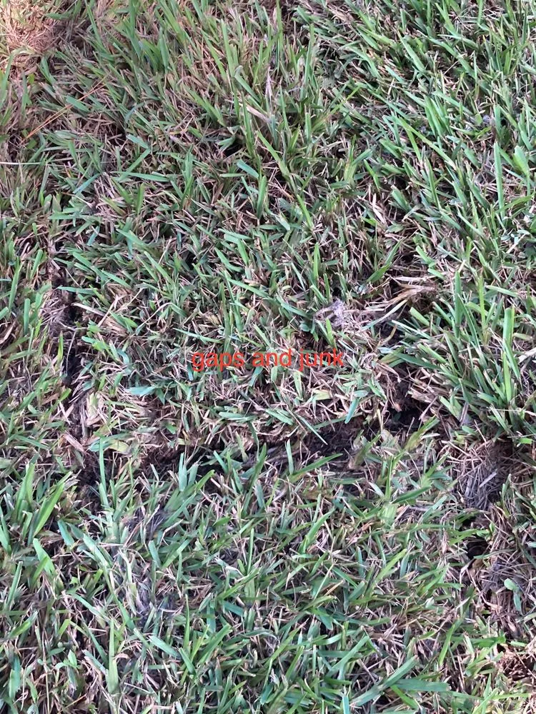 Professional yard cleanup service in Saint Augustine, FL - Grassy Gator Lawn Care