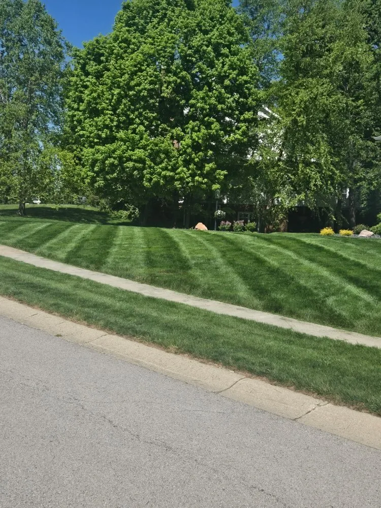 Top-rated landscaping services in Cicero, IN by Grassy J's Lawn Care