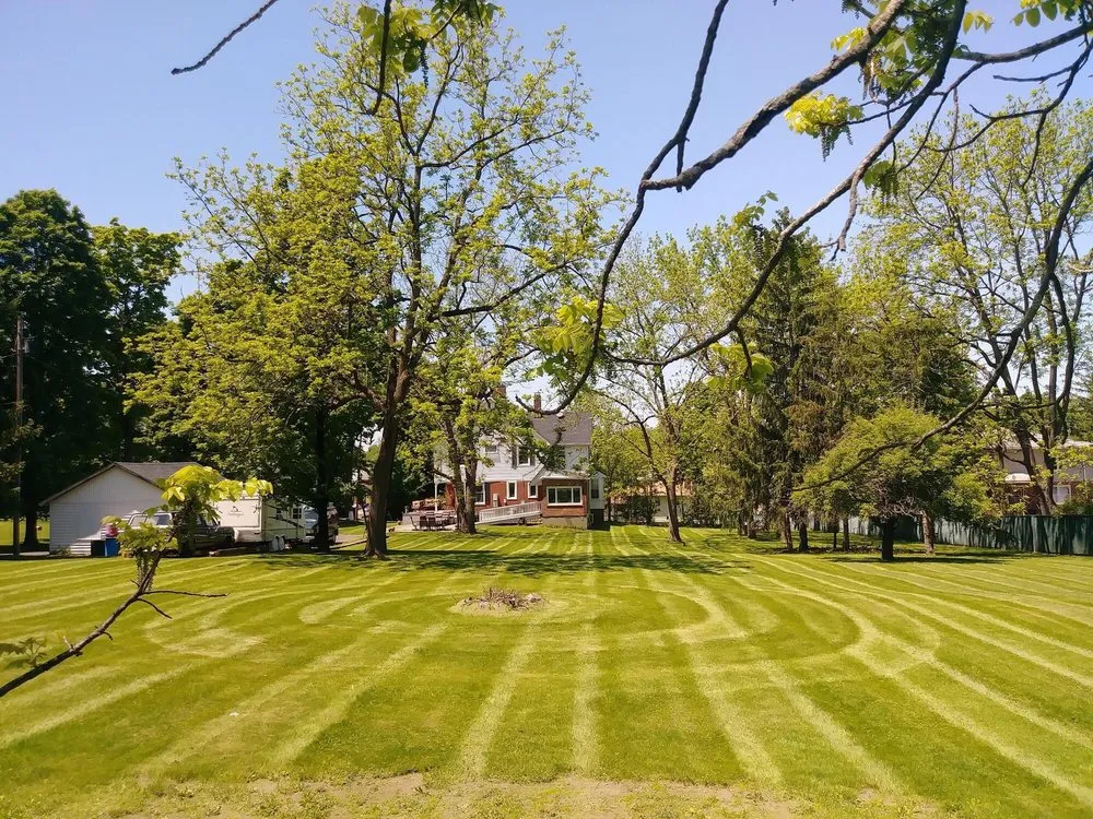 Affordable landscape design for year-round maintenance across Cornwall, NY - Grassy Knoll