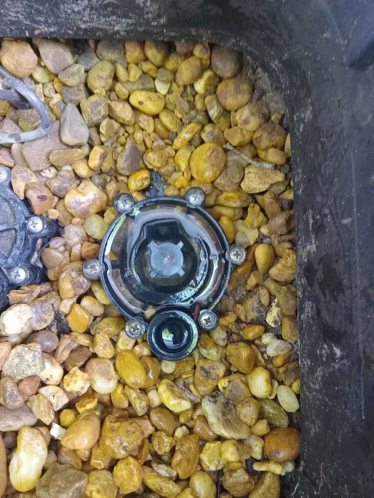 Reliable yard cleanup service for residential properties across Elfers, FL - Grassy Roots of Pasco