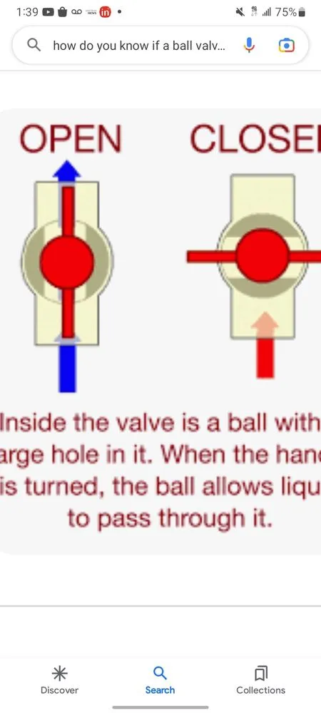 Custom residential landscaping in Elfers, FL by Grassy Roots of Pasco