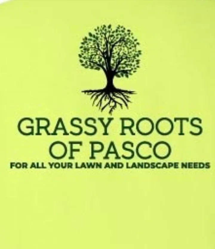 Local lawn care service in Elfers, FL by Grassy Roots of Pasco