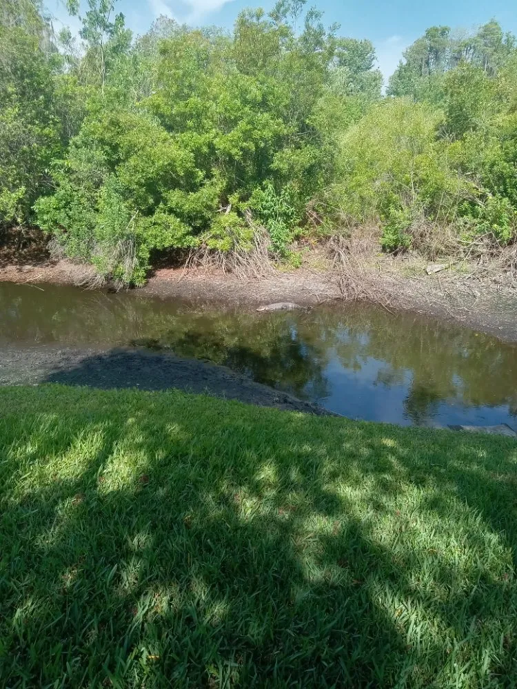 Custom garden landscaping for beautiful yards across Elfers, FL - Grassy Roots of Pasco
