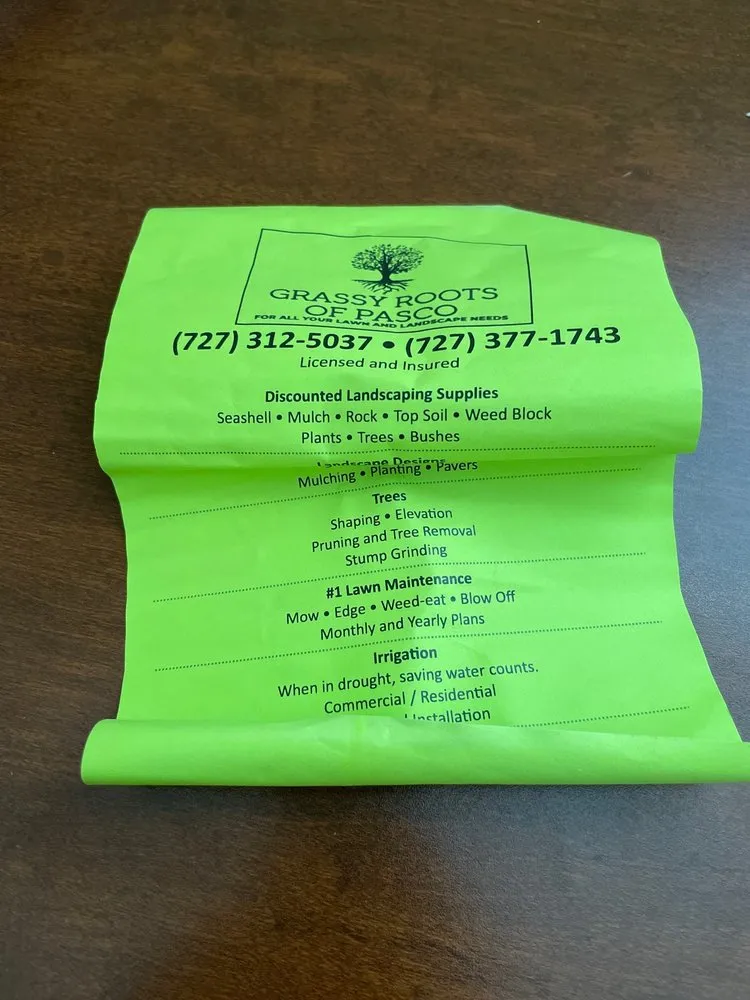 Trusted garden landscaping in Elfers, FL - Grassy Roots of Pasco