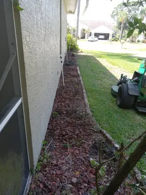 Grassy Roots of Pasco