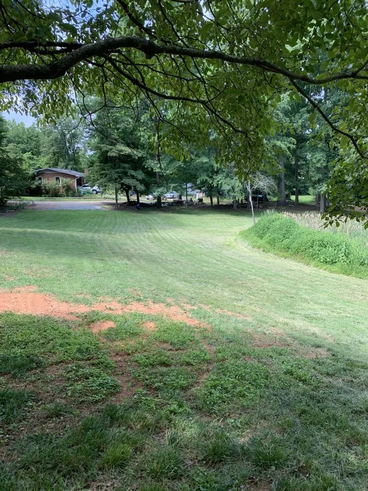 Expert lawn mowing service for beautiful yards across Concord, NC - Grassy-Us lawn Detail