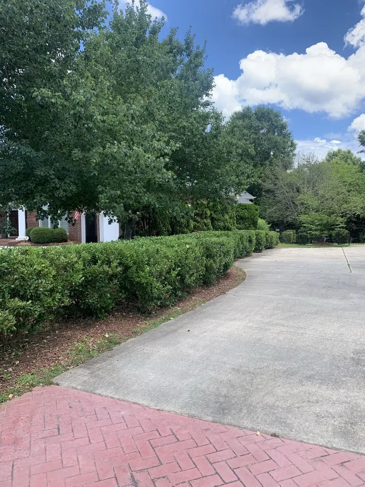 Professional outdoor landscaping in Concord, NC by Grassy-Us lawn Detail