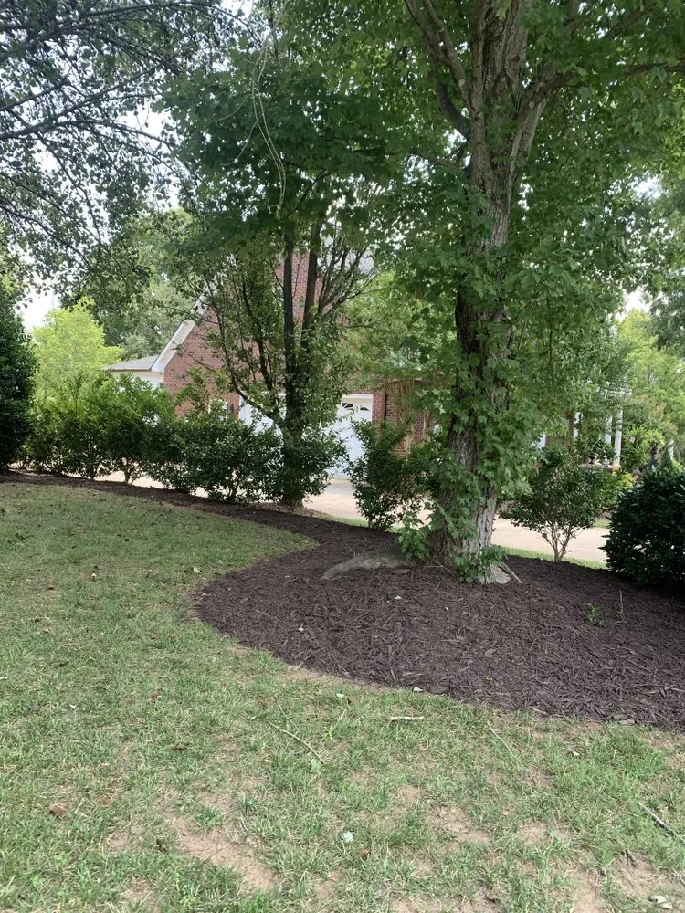 Reliable residential landscaping for outdoor upgrades across Concord, NC - Grassy-Us lawn Detail