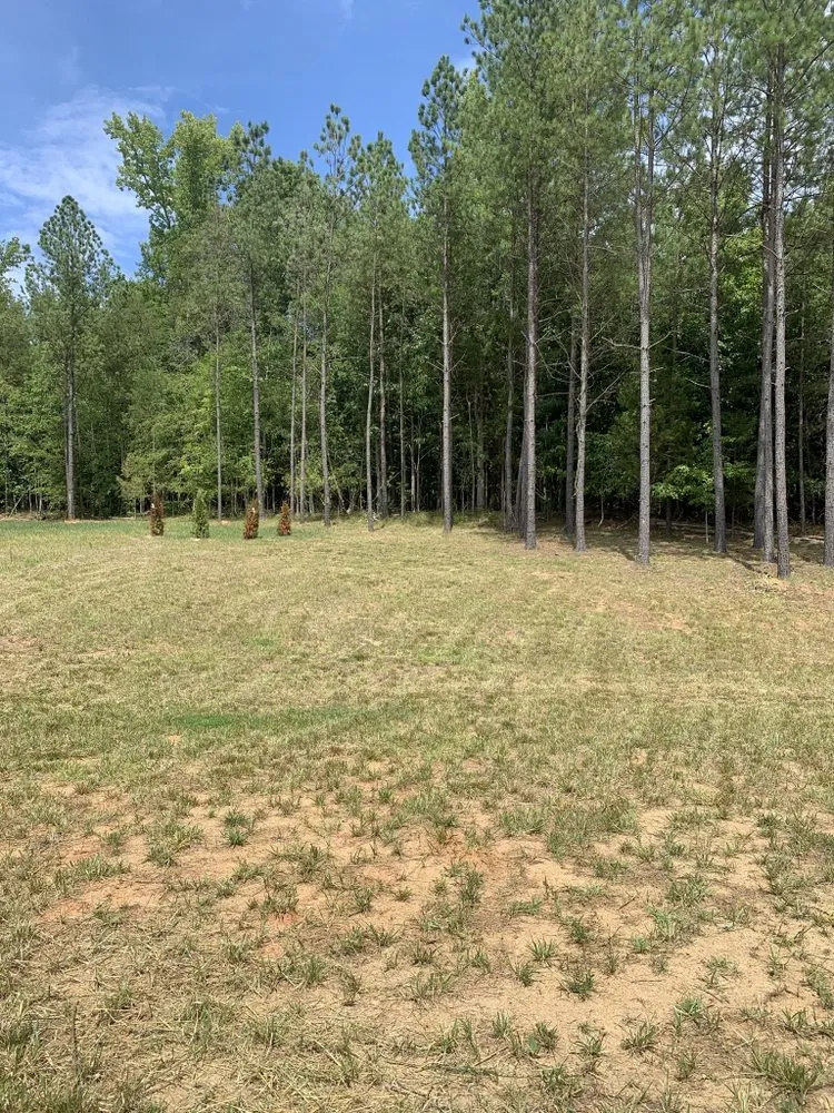 Local residential landscaping with custom design across Concord, NC - Grassy-Us lawn Detail