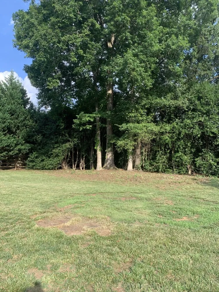 Reliable landscaping services for outdoor upgrades across Concord, NC - Grassy-Us lawn Detail