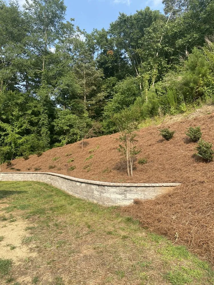 Custom lawn care service for residential properties across Concord, NC - Grassy-Us lawn Detail