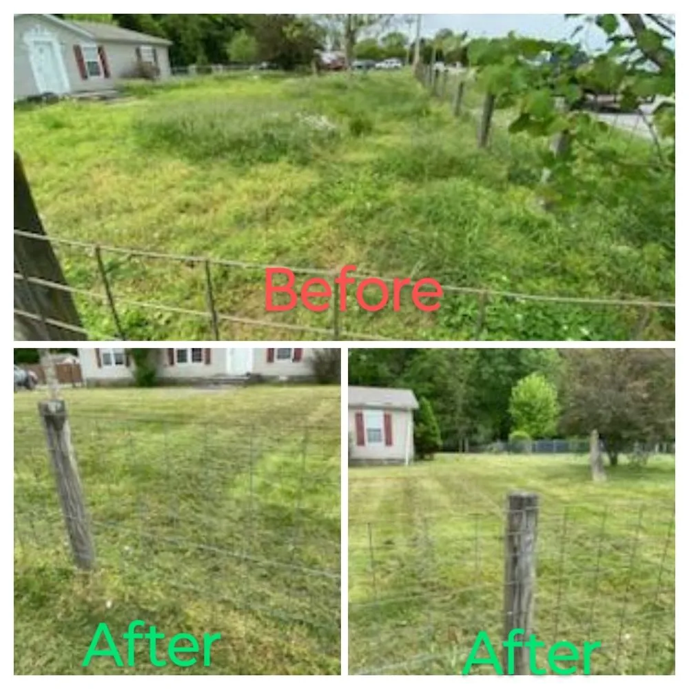 Reliable residential landscaping for year-round maintenance across Lafayette, TN - Grasszone