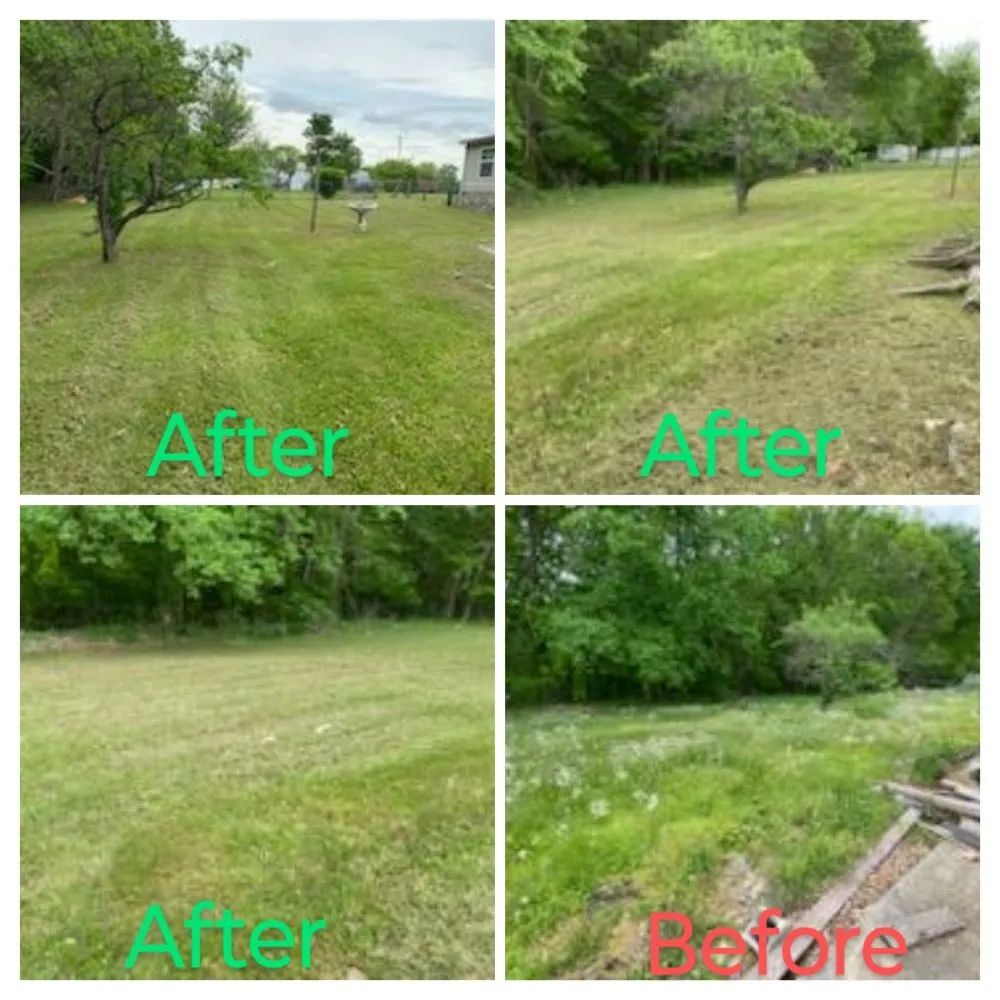 Trusted lawn care service in Lafayette, TN by Grasszone
