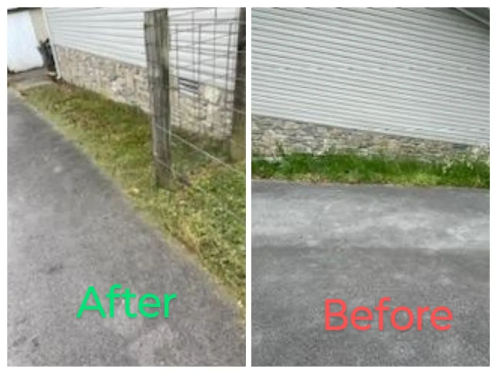 Affordable landscape design for beautiful yards in Lafayette, TN by Grasszone