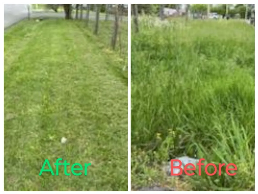 Professional landscape design in Lafayette, TN - Grasszone