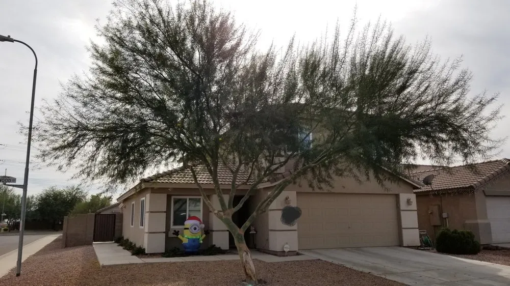 Expert lawn care service with custom design across Glendale, AZ - Grateful Gardens