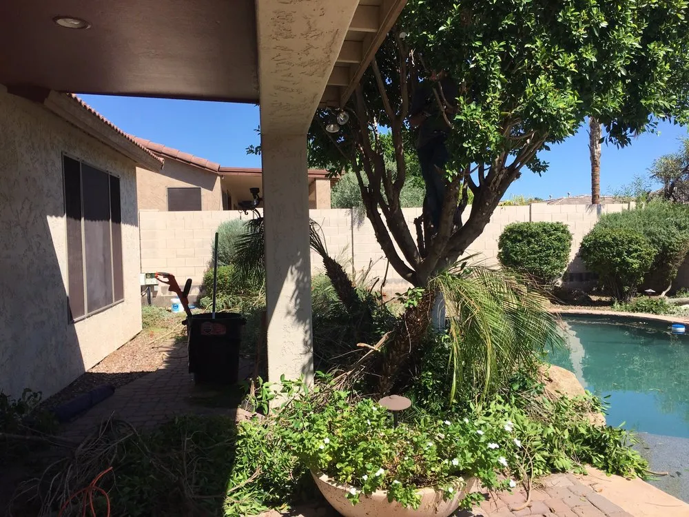 Top-rated garden landscaping in Glendale, AZ by Grateful Gardens