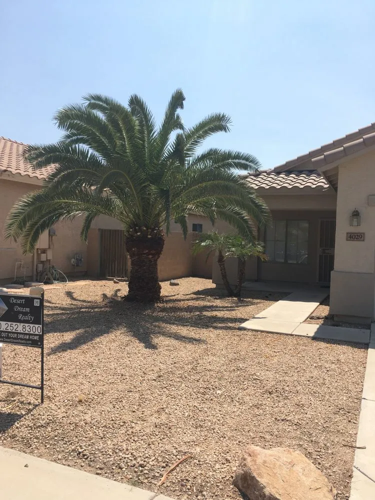 Reliable lawn care service for beautiful yards in Glendale, AZ by Grateful Gardens