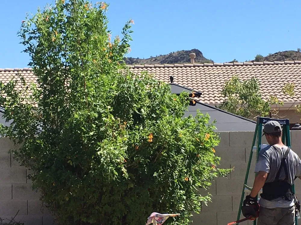 Professional lawn mowing service in Glendale, AZ - Grateful Gardens