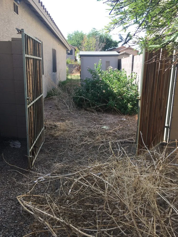 Professional landscape installation for beautiful yards in Glendale, AZ by Grateful Gardens