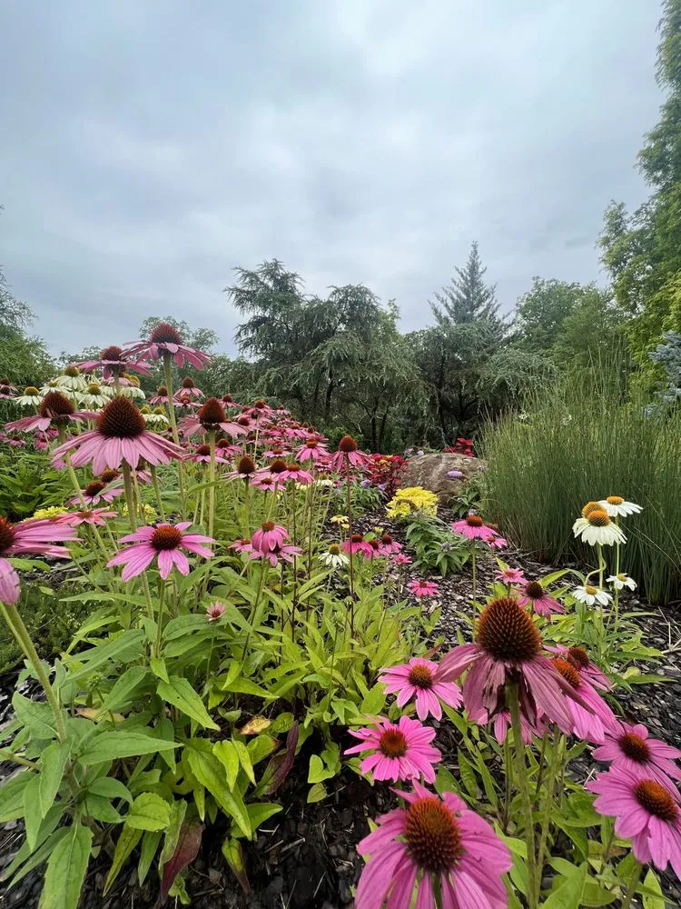 Affordable landscape design experts serving Knoxville, TN - Grateful Grounds