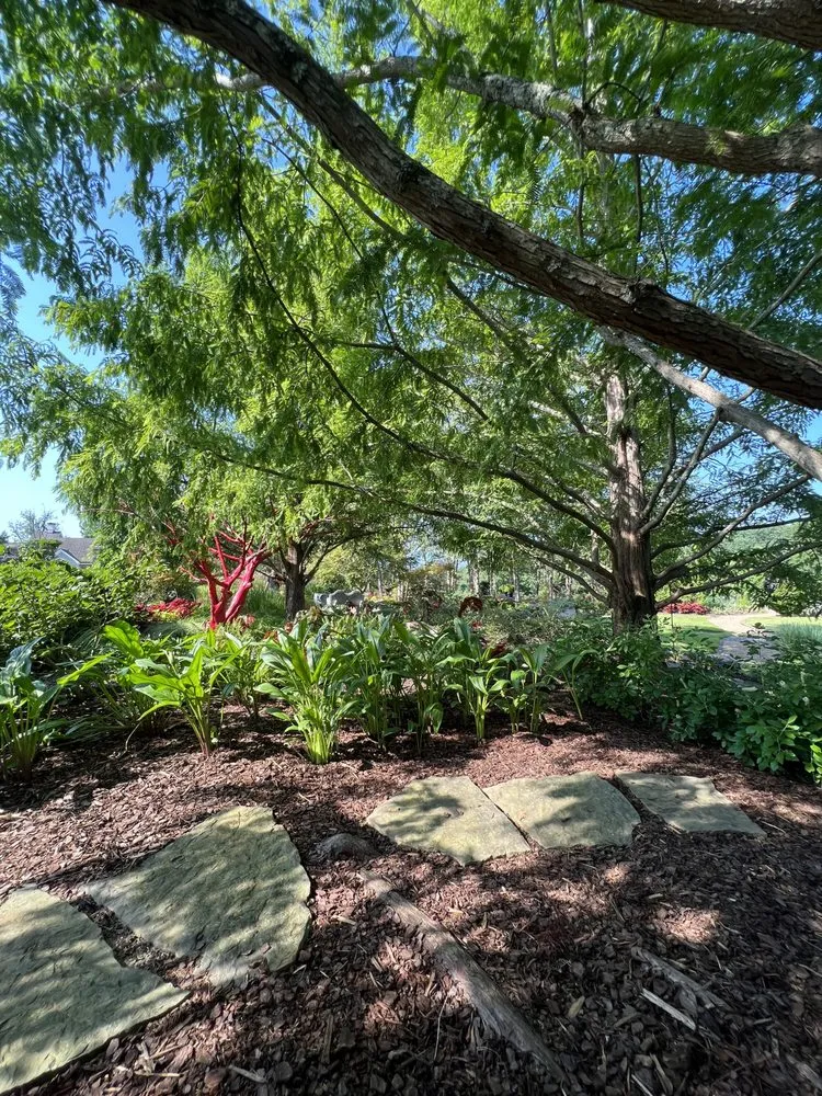 Affordable landscaping services for year-round maintenance in Knoxville, TN by Grateful Grounds