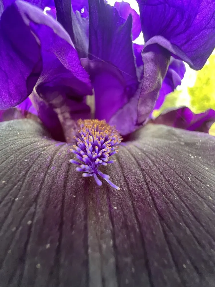 Local garden landscaping in Knoxville, TN - Grateful Grounds