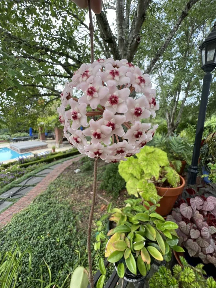 Top-rated landscape design experts serving Knoxville, TN - Grateful Grounds