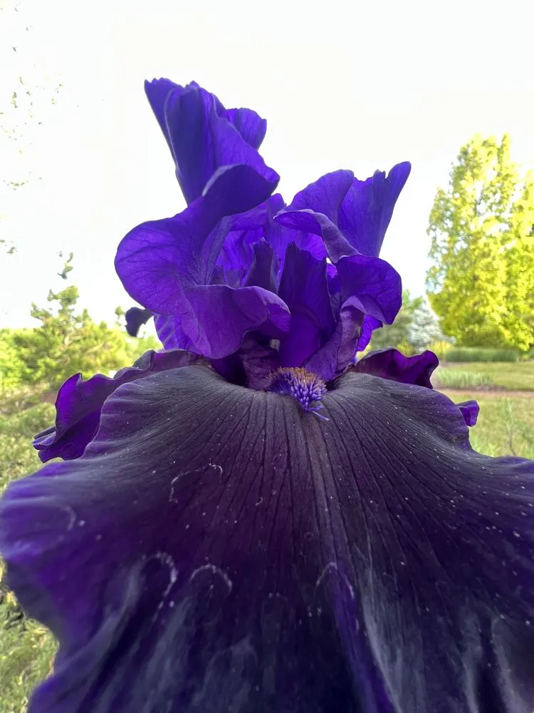 Custom residential landscaping for outdoor upgrades across Knoxville, TN - Grateful Grounds