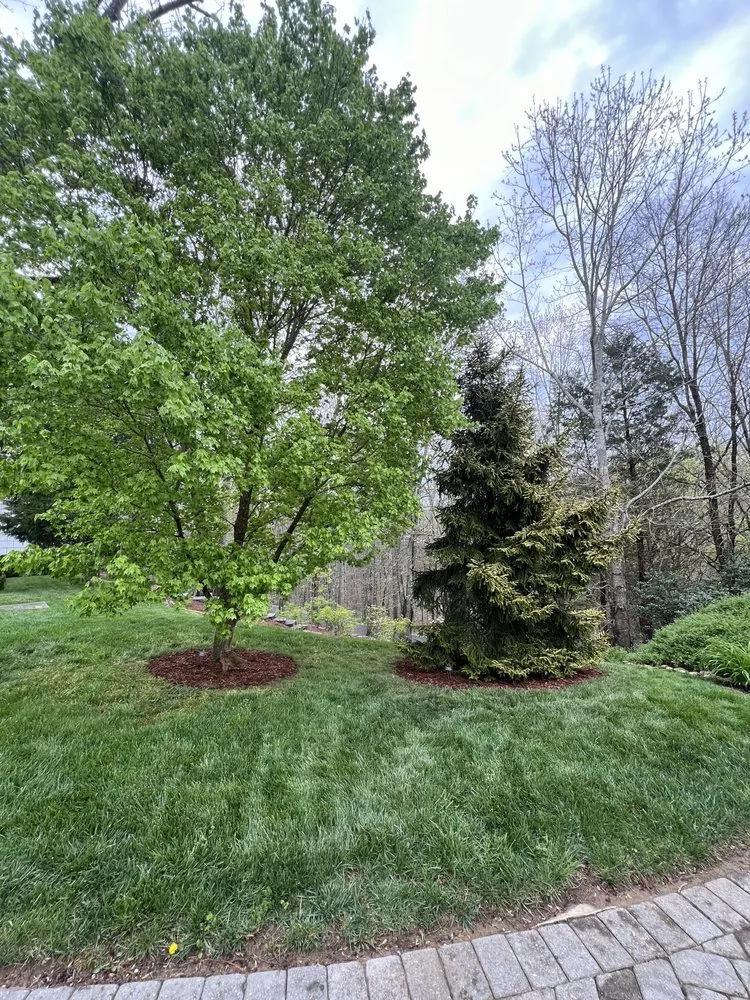 Affordable lawn care service in Knoxville, TN by Grateful Grounds