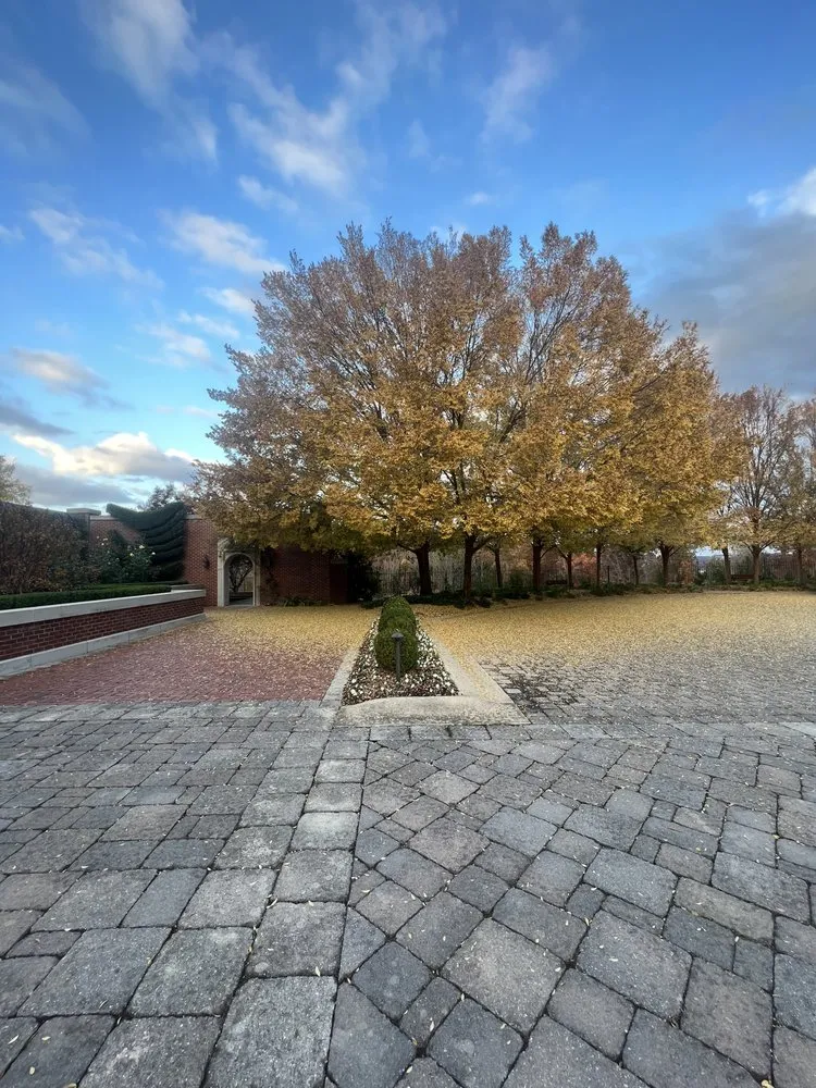 Expert yard maintenance in Knoxville, TN - Grateful Grounds