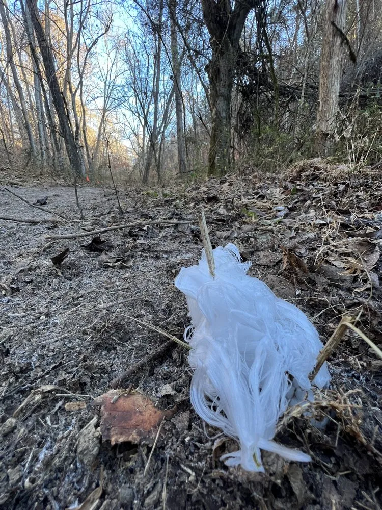 Top-rated landscape installation in Knoxville, TN by Grateful Grounds