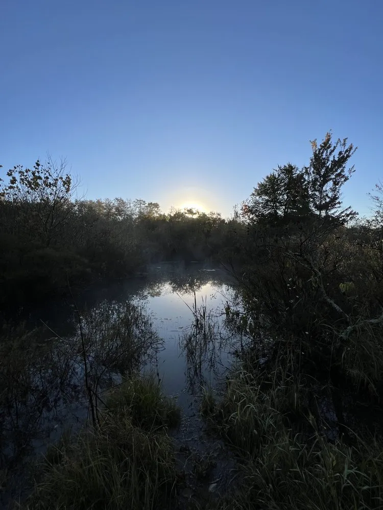 Trusted residential landscaping in Knoxville, TN - Grateful Grounds