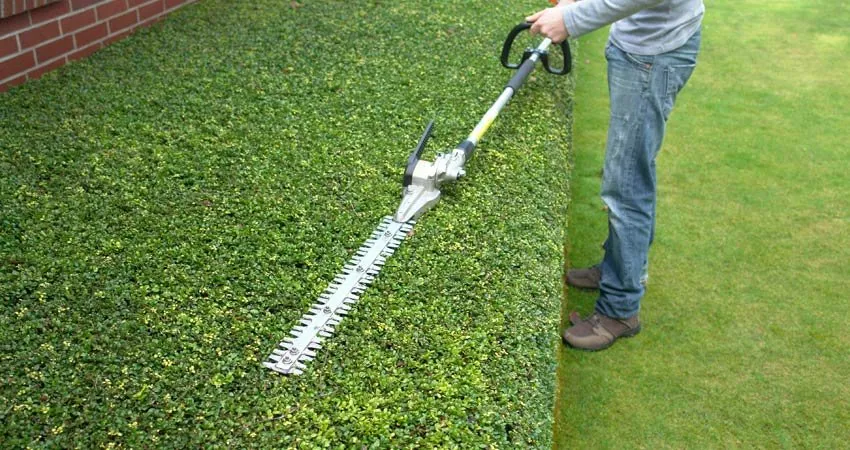 Custom lawn care service in Clinton Township, MI by Gratiot Landscaping