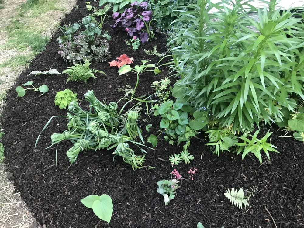 Professional landscape design for beautiful yards across Baltimore, MD - Gratitude Garden