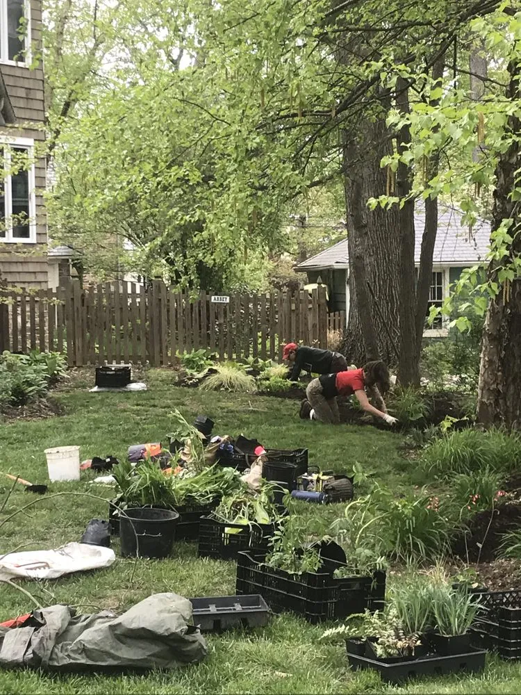 Professional yard cleanup service near you across Baltimore, MD - Gratitude Garden