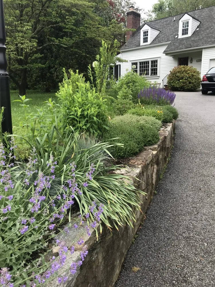 Trusted garden landscaping in Baltimore, MD by Gratitude Garden