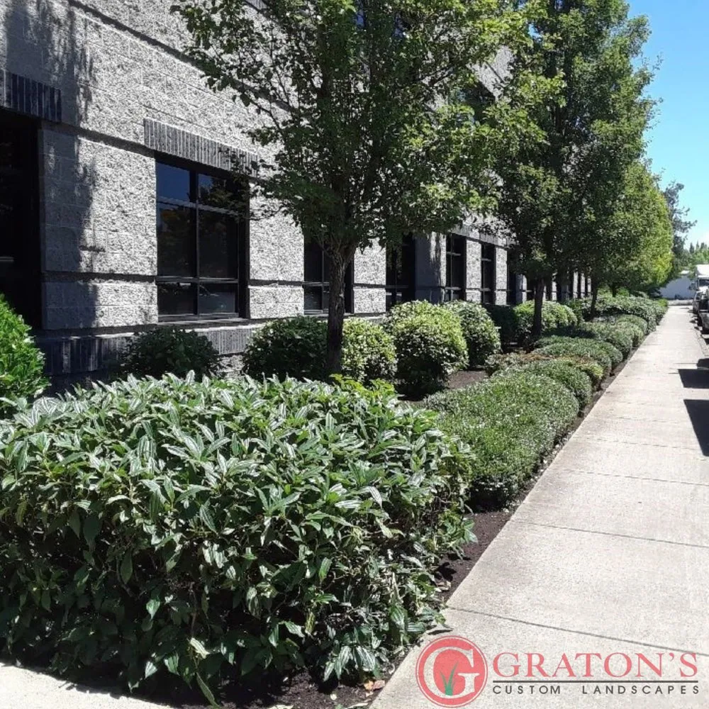 Affordable lawn care service for beautiful yards across Junction City, OR - Gratons Custom Landscaping