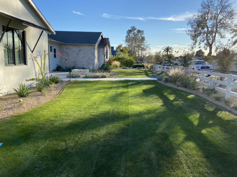 Reliable yard maintenance for beautiful yards across Phoenix, AZ - Gratus