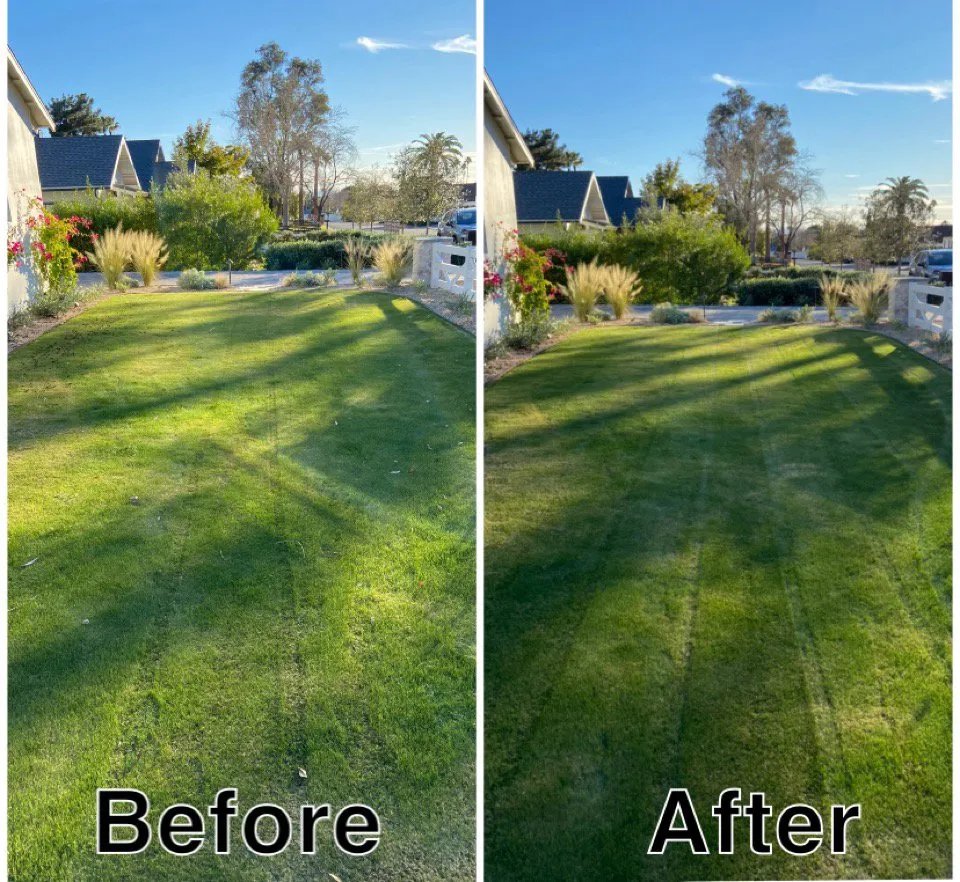 Trusted yard cleanup service in Phoenix, AZ by Gratus