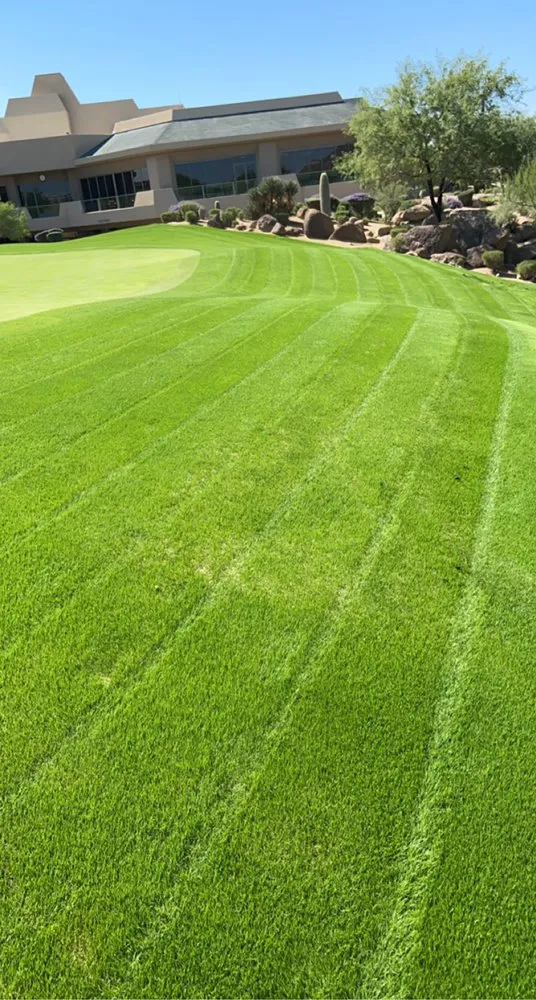 Professional outdoor landscaping for year-round maintenance across Phoenix, AZ - Gratus