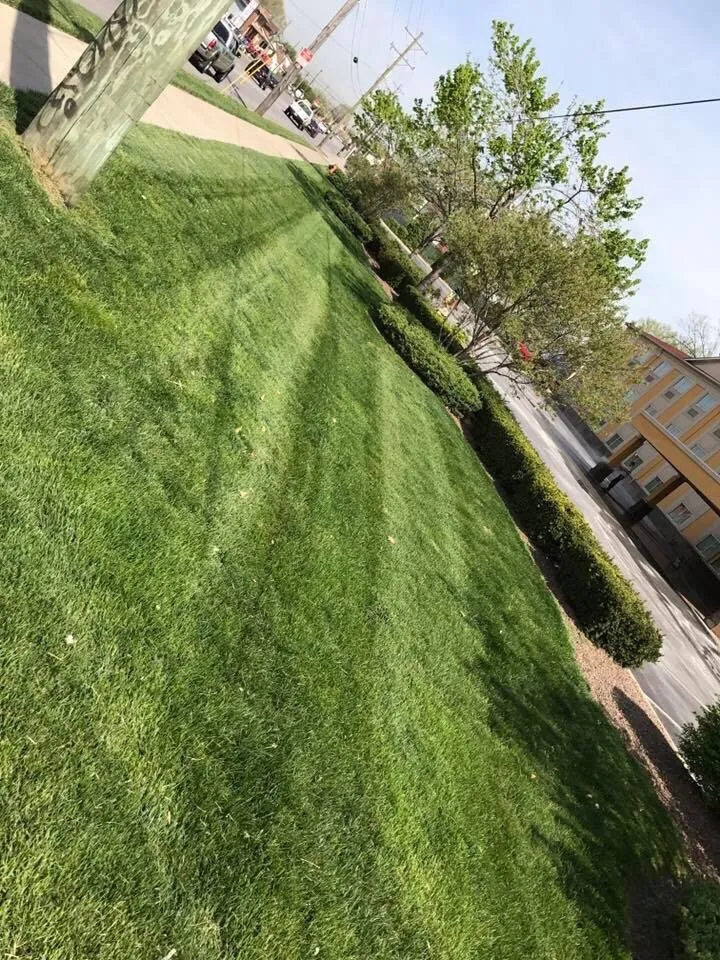 Trusted yard cleanup service for outdoor upgrades in Louisville, KY by Gravel Blades Lawn & Landscape