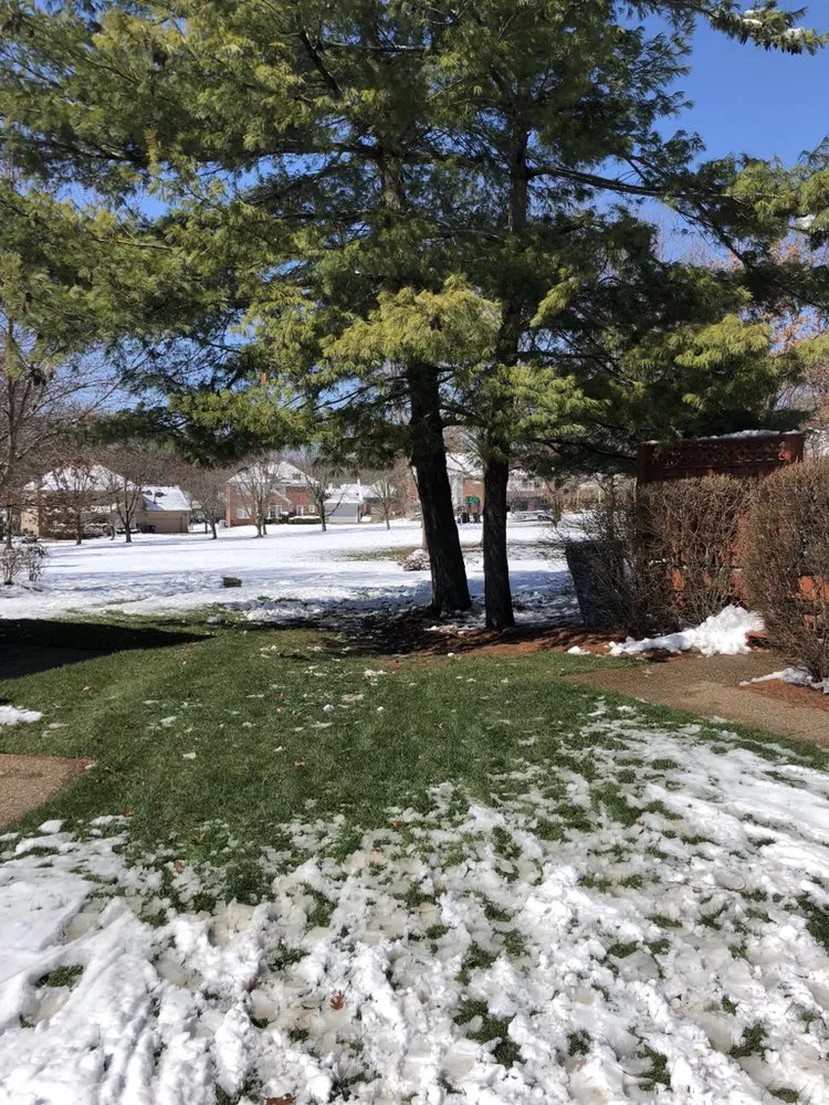 Local landscape installation in Louisville, KY by Gravel Blades Lawn & Landscape