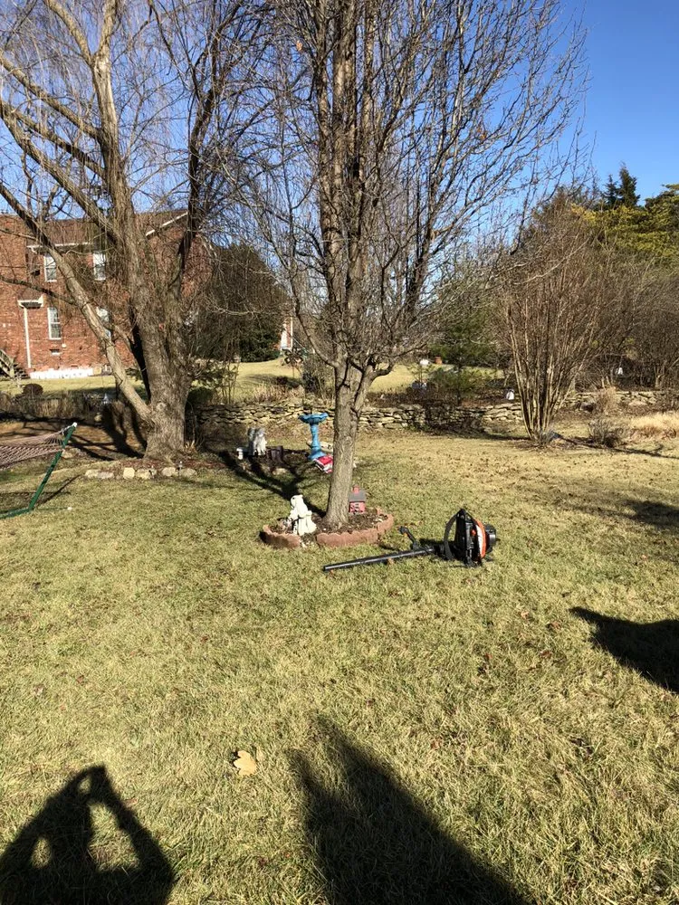 Trusted yard cleanup service for year-round maintenance in Louisville, KY by Gravel Blades Lawn & Landscape