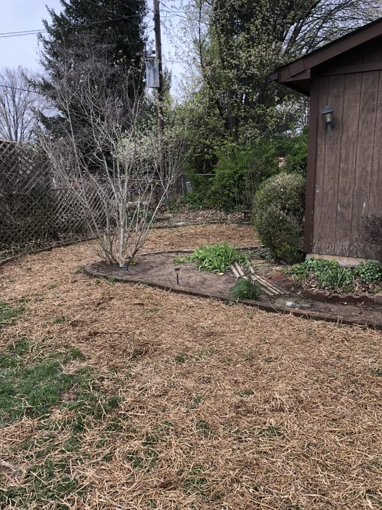 Reliable yard maintenance in Louisville, KY by Gravel Blades Lawn & Landscape